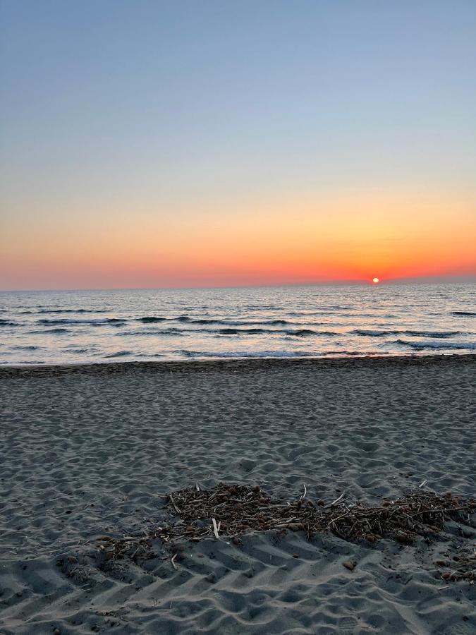 Holiday home House Viareggio