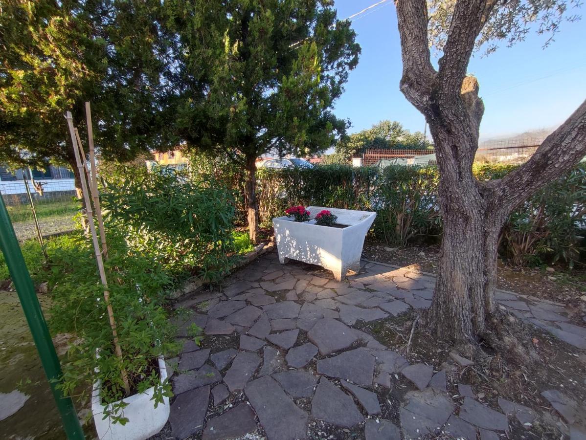 House Viareggio